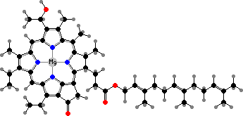 31R-[8-E,12-E]-Bacteriochlorophyll cF