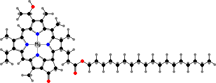 31R-[8-E,12-M]-Bacteriochlorophyll cS