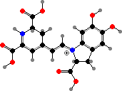 Betanidin ion
