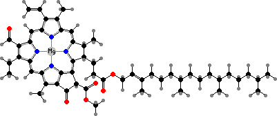 Chlorophyll b