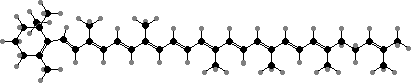 γ-Carotene