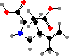α-Kainic acid 