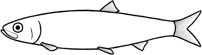 Tharsis (after Nybelin & Frickhinger)